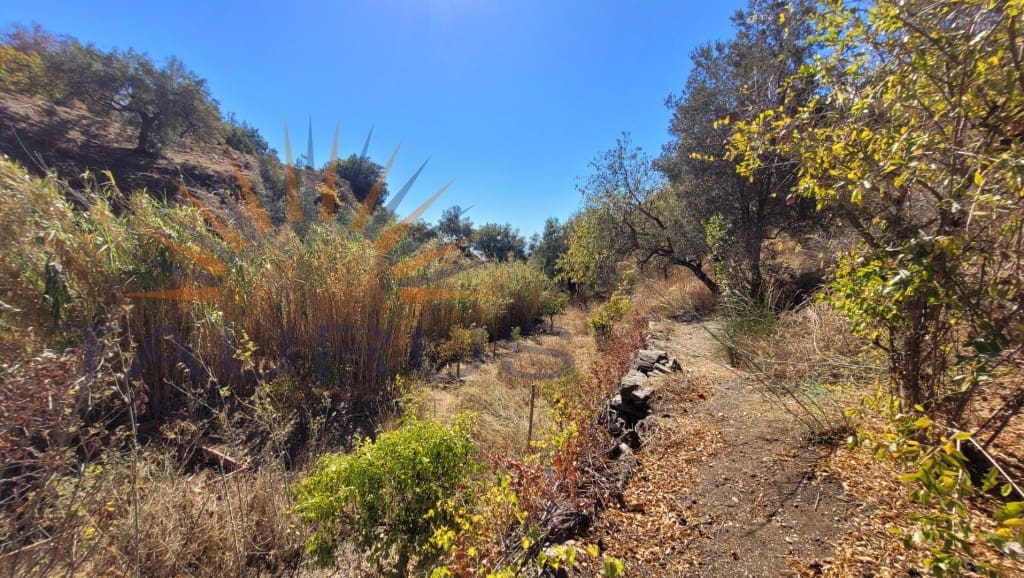 1 soverom Villa til salgs i Sayalonga med svømmebasseng - € 235 000 (Ref: 8476104)