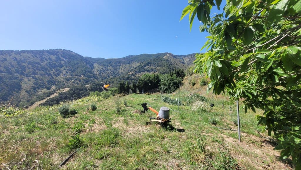 3 soveværelse Finca/Landehus til salg i Canillas de Albaida - € 286.000 (Ref: 9017277)