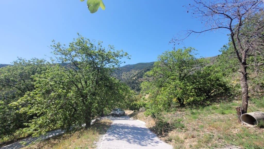 3 soveværelse Finca/Landehus til salg i Canillas de Albaida - € 286.000 (Ref: 9017277)