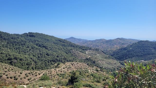 3 sovrum Finca/Hus på landet till salu i Canillas de Albaida - 286 000 € (Ref: 9017277)