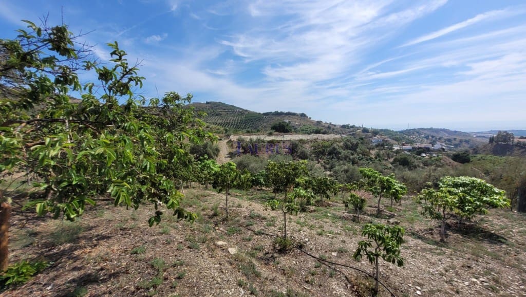 2 soveværelse Finca/Landehus til salg i Cajiz med swimmingpool - € 350.000 (Ref: 9146968)