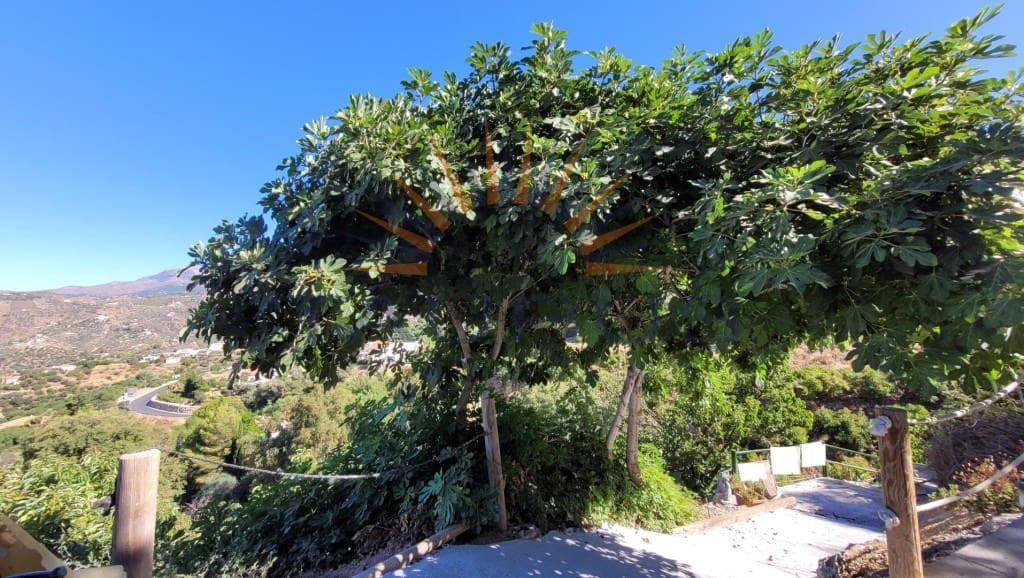 Finca/Maison de Campagne à vendre à Competa - 67 000 € (Ref: 9149150)