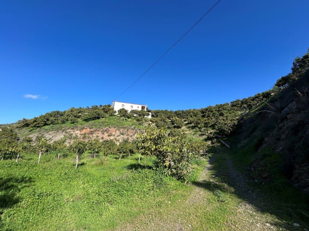 Erhverv til salg i Trapiche - € 650.000 (Ref: 9619140)