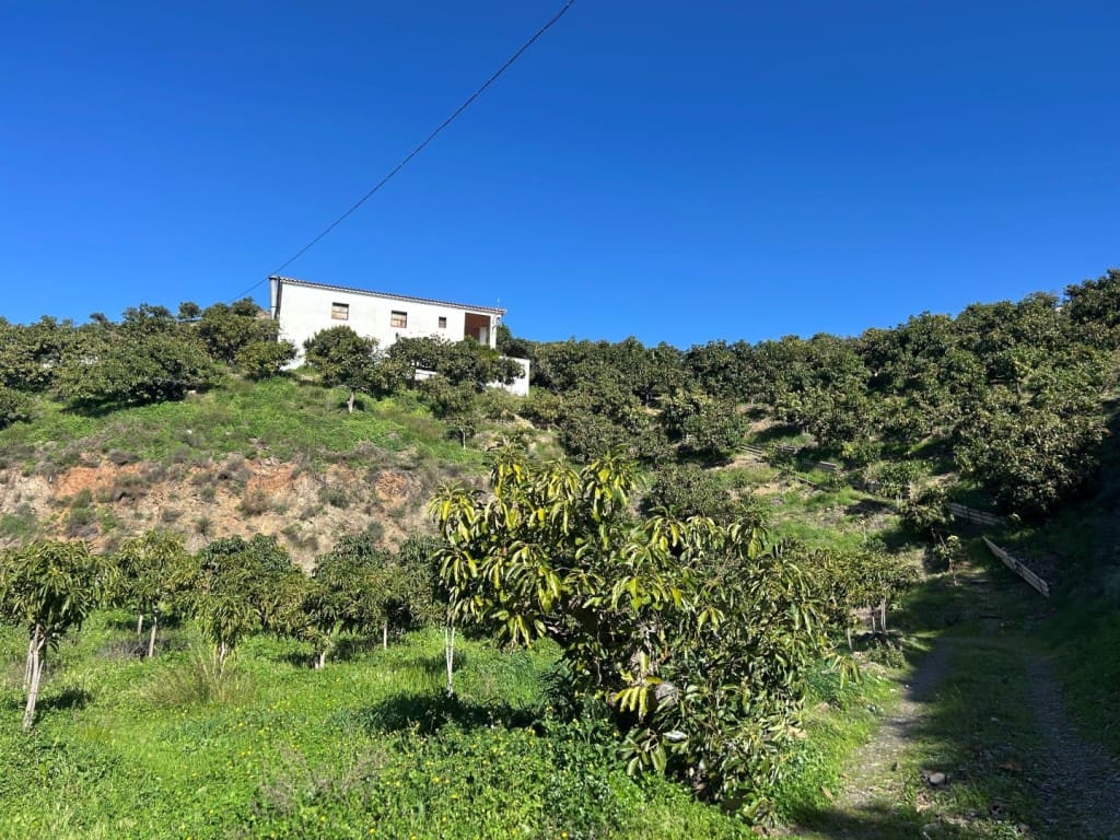 Erhverv til salg i Trapiche - € 650.000 (Ref: 9619140)