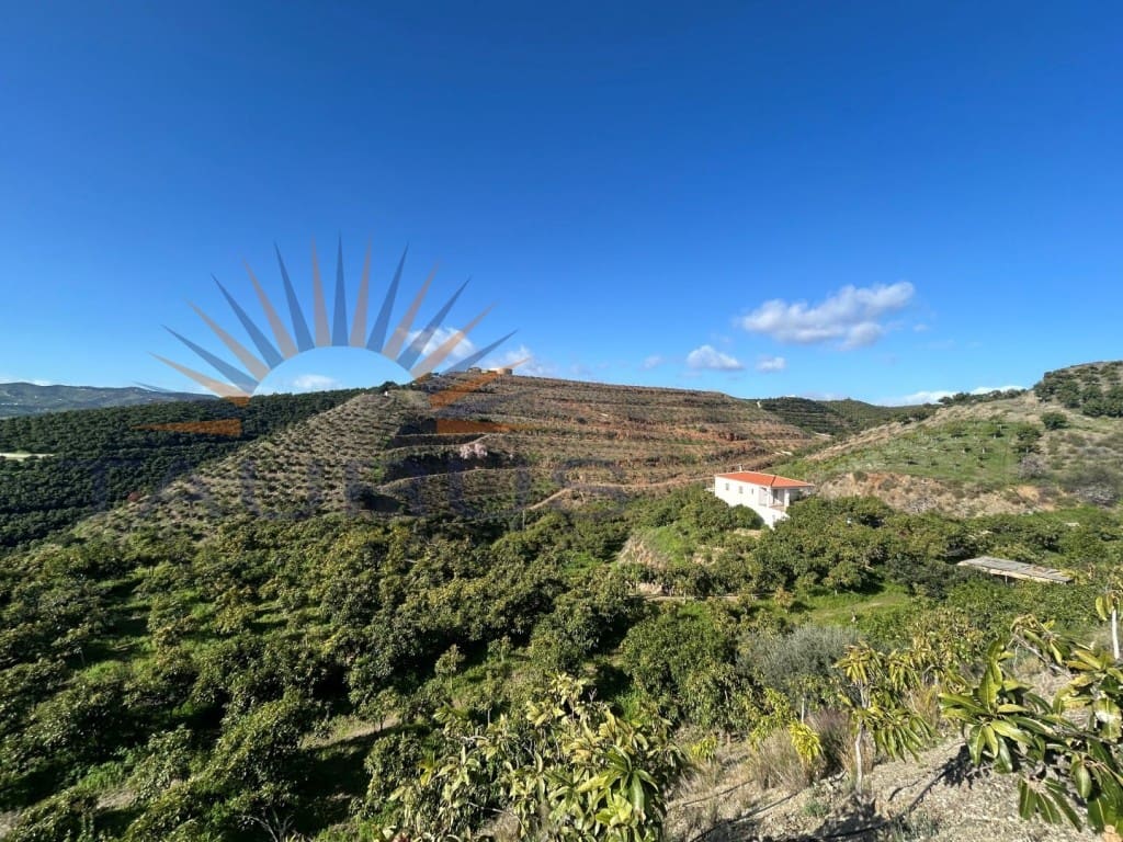 Commercial for sale in Trapiche - € 650,000 (Ref: 9619140)