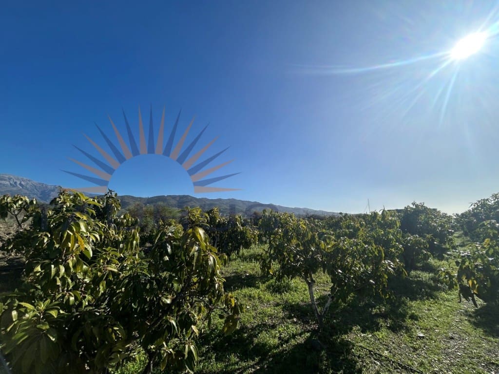 Commercial for sale in Trapiche - € 650,000 (Ref: 9619140)