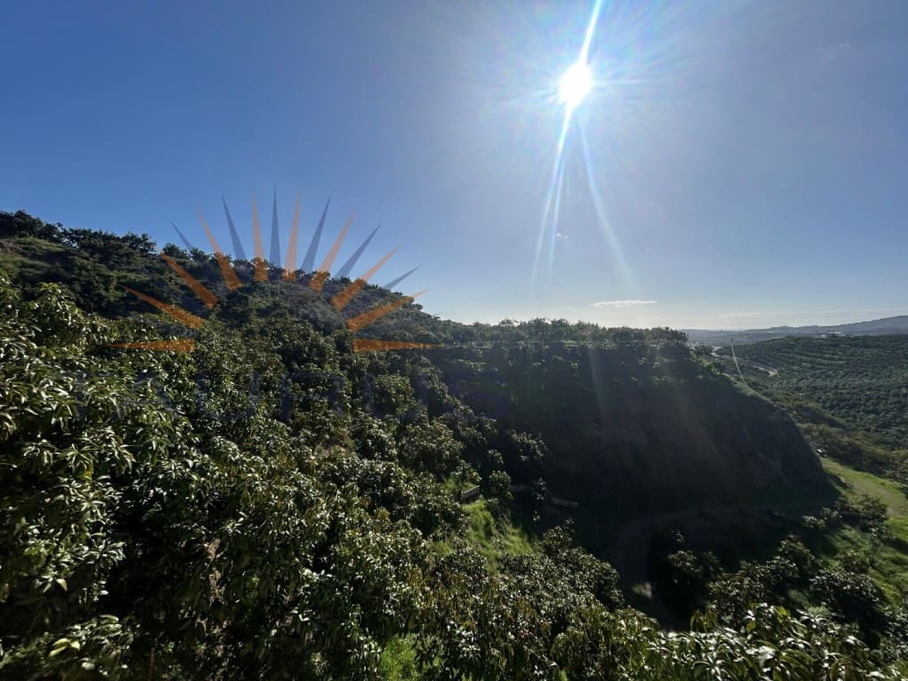 Commercial for sale in Trapiche - € 650,000 (Ref: 9619140)