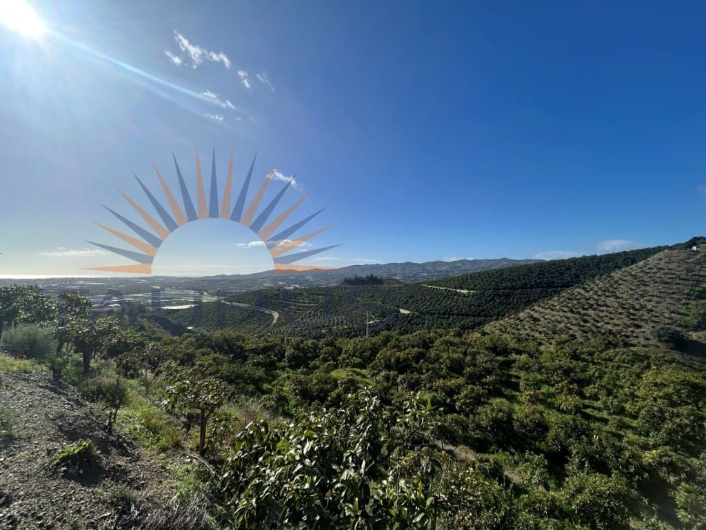 Commercial for sale in Trapiche - € 650,000 (Ref: 9619140)