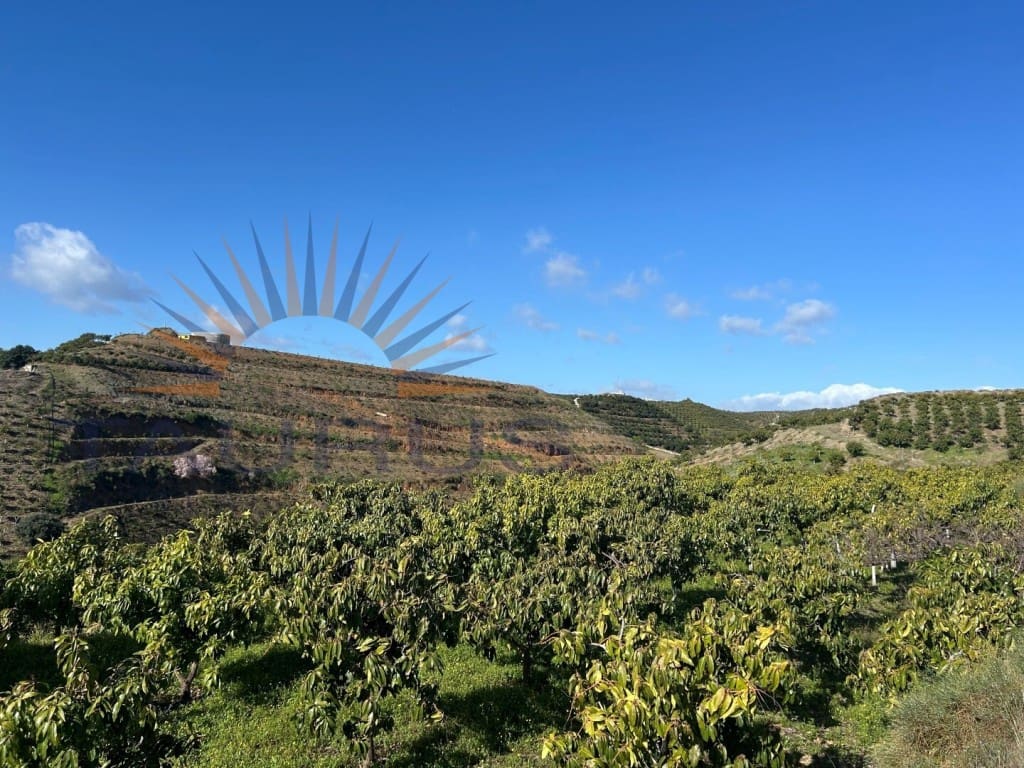 Commercial for sale in Trapiche - € 650,000 (Ref: 9619140)