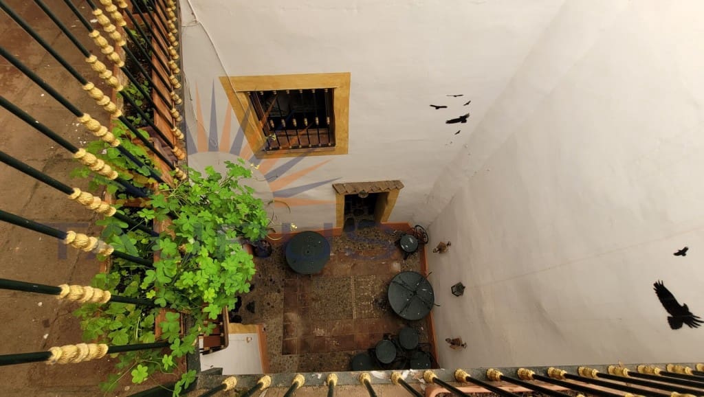 Komercyjne na sprzedaż w Archez - 262 000 € (Ref: 9679664)