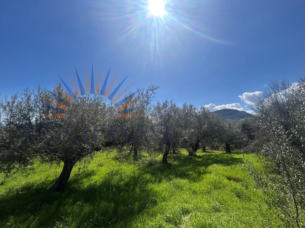 5 bedroom Villa for sale in Periana with pool - € 575,000 (Ref: 9698682)