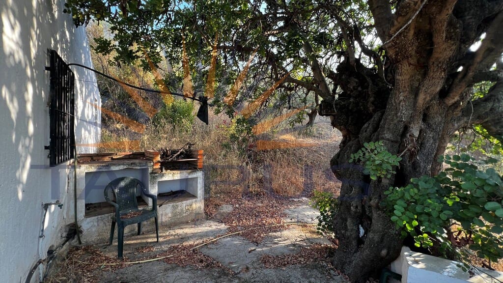 Quinta/Casa Rural para venda em Alcaucin - 160 000 € (Ref: 9986609)