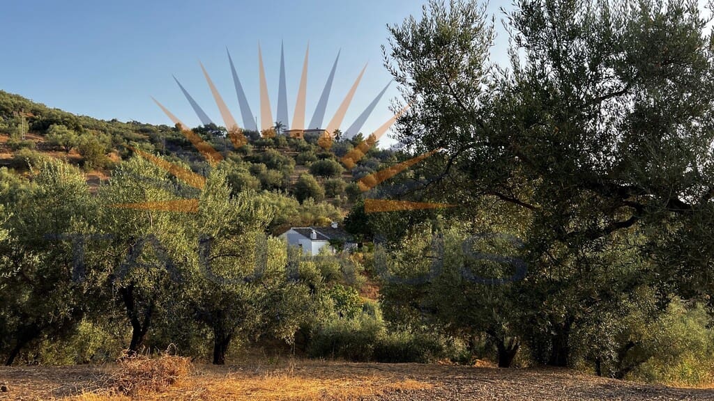 Quinta/Casa Rural para venda em Alcaucin - 160 000 € (Ref: 9986609)
