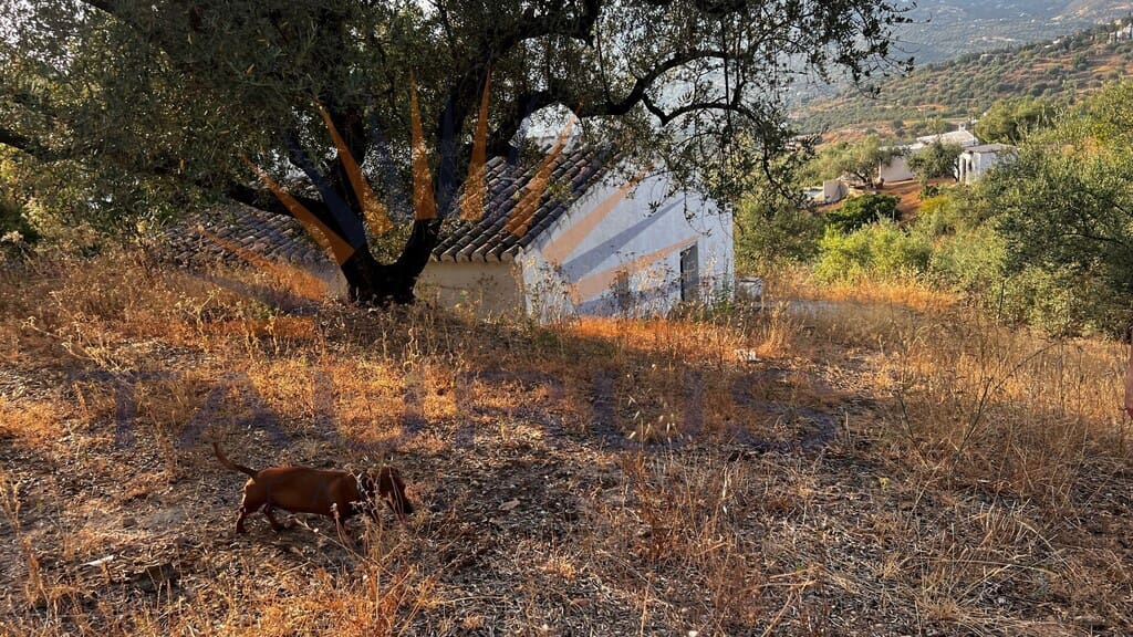 Quinta/Casa Rural para venda em Alcaucin - 160 000 € (Ref: 9986609)