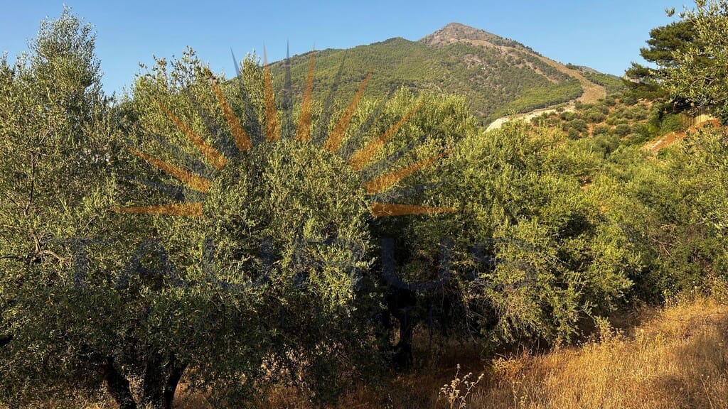 Quinta/Casa Rural para venda em Alcaucin - 160 000 € (Ref: 9986609)