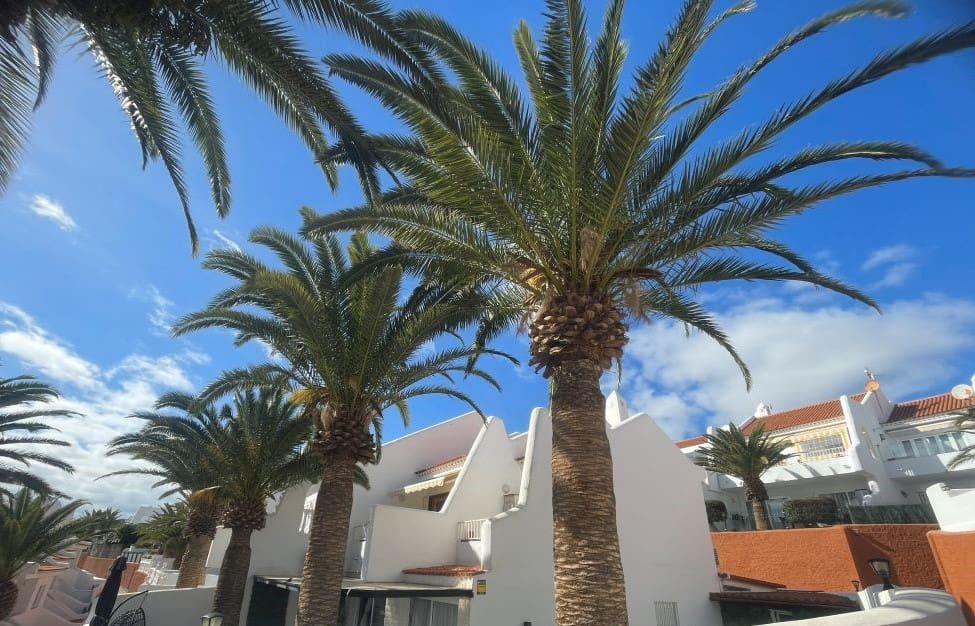 Apartamento de 2 habitaciones en San Miguel de Abona en venta con piscina - 285.000 € (Ref: 9569619)