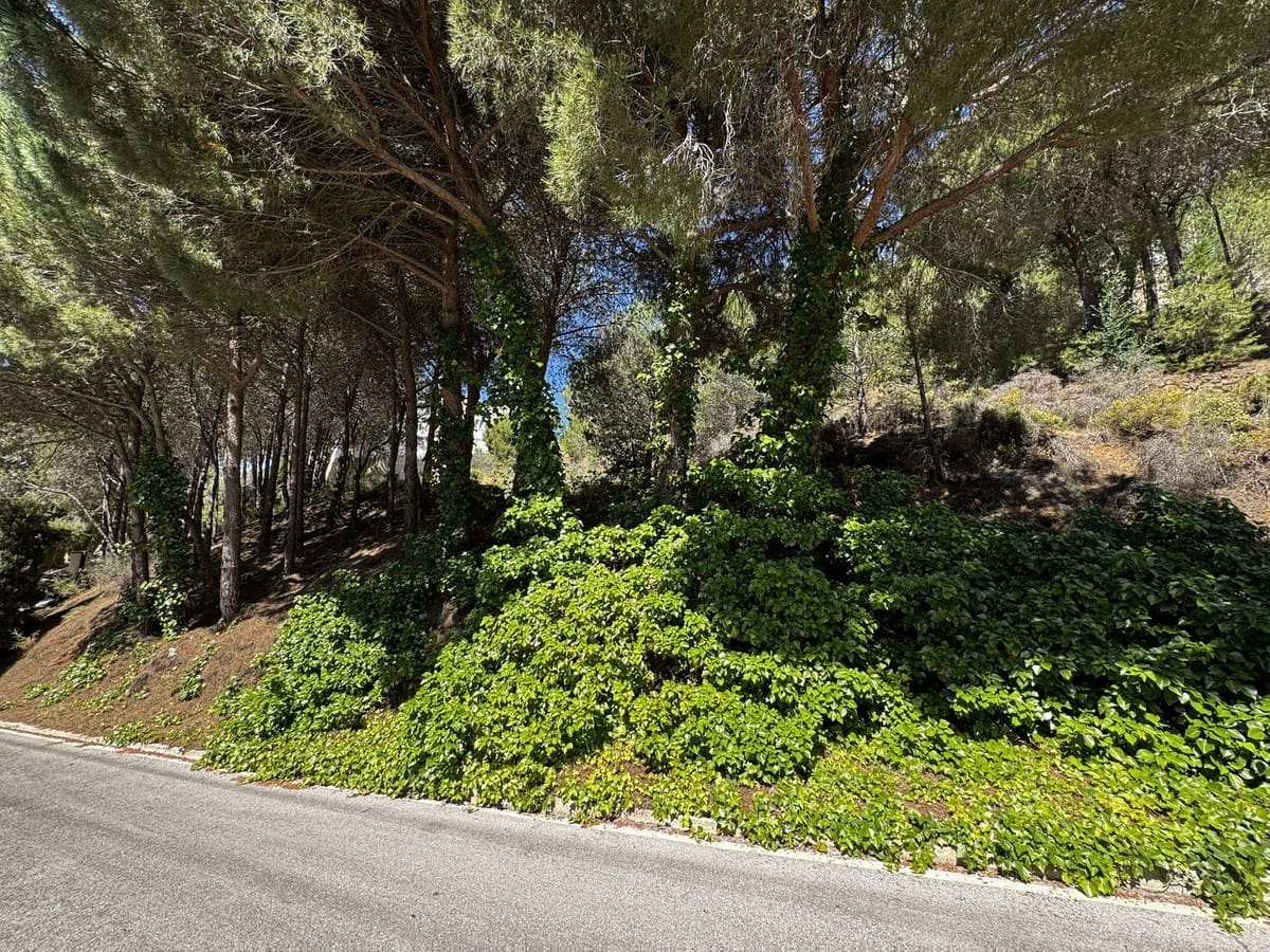 Tontti myytävänä paikassa Valtocado - 250 000 € (Ref: 8998158)