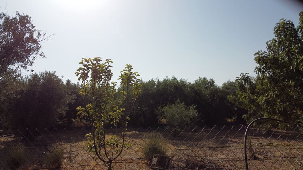 3 bedroom Finca/Country House for sale in Baza with garage - € 145,000 (Ref: 10035801)