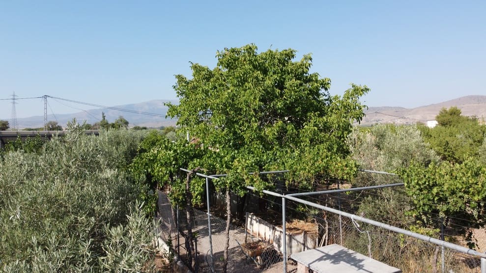3 bedroom Finca/Country House for sale in Baza with garage - € 145,000 (Ref: 10035801)