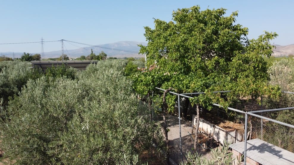 3 bedroom Finca/Country House for sale in Baza with garage - € 145,000 (Ref: 10035801)