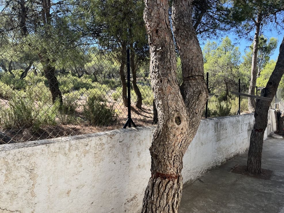 3 chambre Finca/Maison de Campagne à vendre à Baza avec piscine garage - 133 500 € (Ref: 10093973)