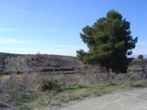 4 chambre Maison Troglodyte à vendre à Cúllar - 22 000 € (Ref: 1505036)