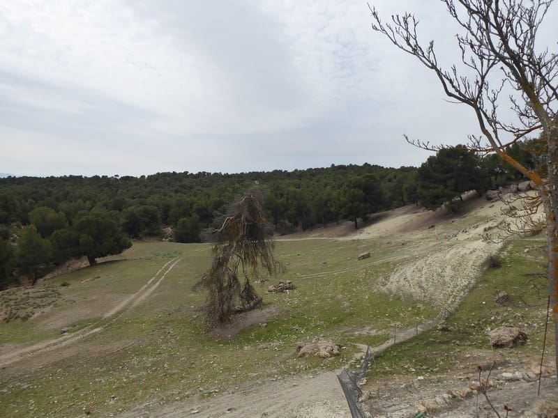 8 soverom Finca/Herregård til salgs i Benamaurel - € 270 000 (Ref: 5643073)