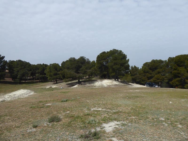 8 soverom Finca/Herregård til salgs i Benamaurel - € 270 000 (Ref: 5643073)