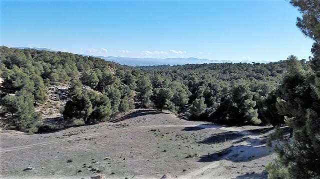 8 soveværelse Finca/Landehus til salg i Benamaurel - € 270.000 (Ref: 5643073)