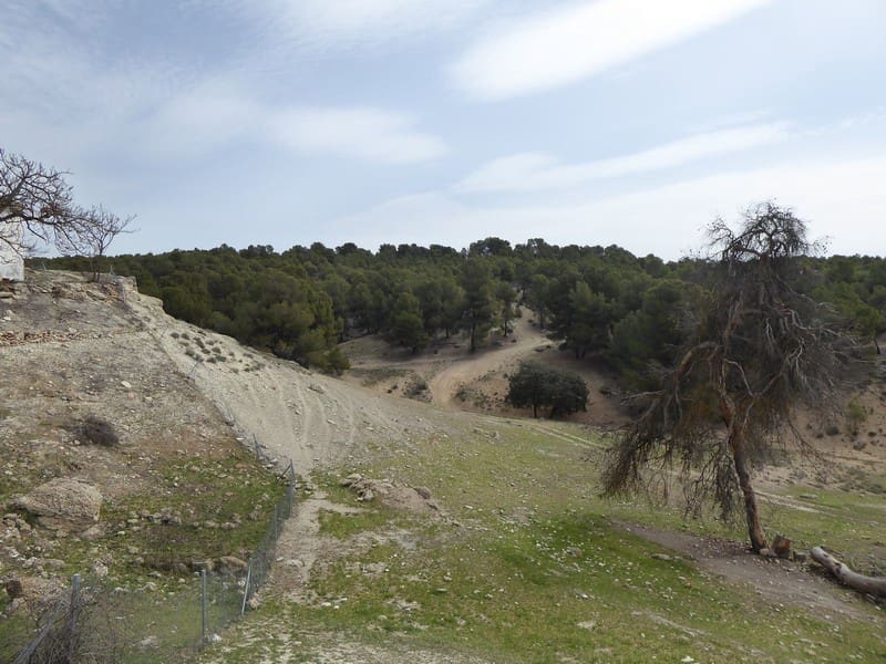 8 soverom Finca/Herregård til salgs i Benamaurel - € 270 000 (Ref: 5643073)