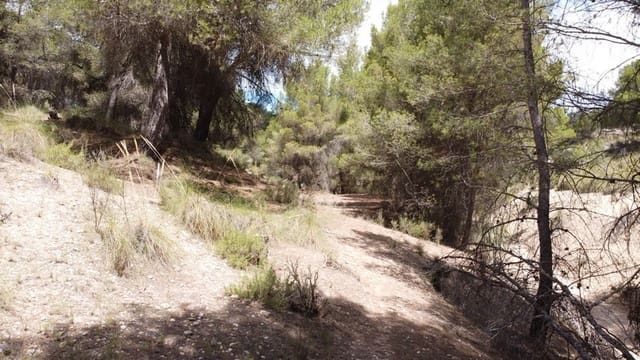 8 soveværelse Finca/Landehus til salg i Benamaurel - € 270.000 (Ref: 5643073)