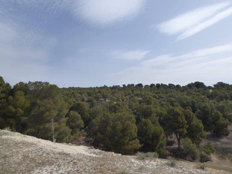 8 makuuhuone Kaupallinen myytävänä paikassa Benamaurel - 270 000 € (Ref: 5643073)