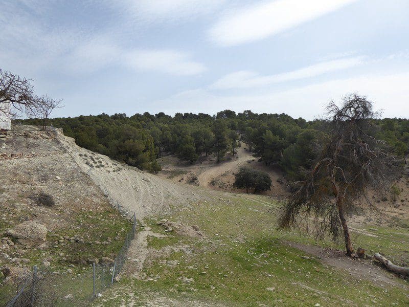 8 makuuhuone Kaupallinen myytävänä paikassa Benamaurel - 270 000 € (Ref: 5643073)