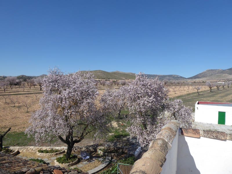 4 bedroom Finca/Country House for sale in Chirivel - € 95,000 (Ref: 5929344)