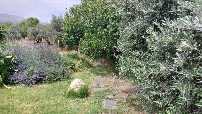 3 makuuhuone Maalaistalo myytävänä paikassa Alquife - 185 000 € (Ref: 7458254)