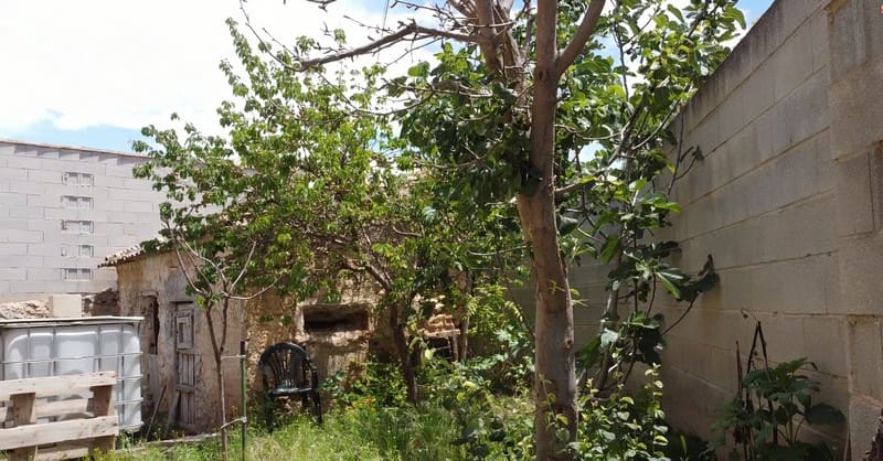 5 slaapkamer Finca/Landhuis te koop in Chirivel - € 128.500 (Ref: 7644339)