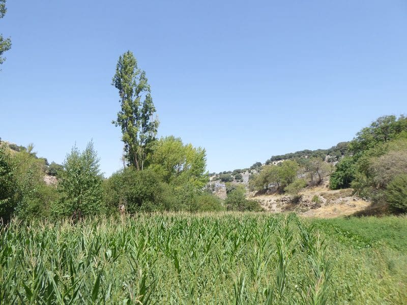 6 soveværelse Finca/Landehus til salg i Gor - € 144.000 (Ref: 7863219)