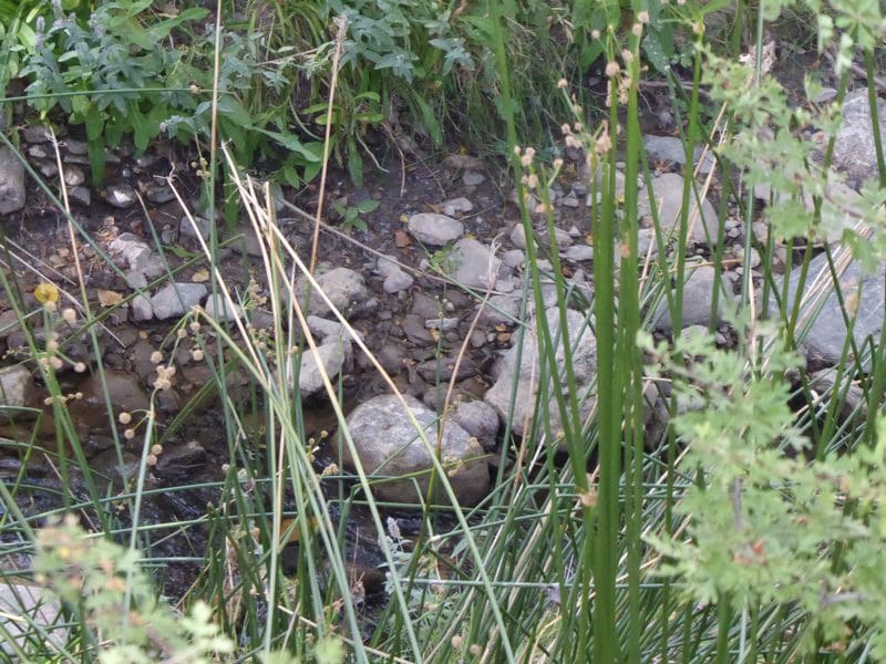 6 soveværelse Finca/Landehus til salg i Gor - € 144.000 (Ref: 7863219)