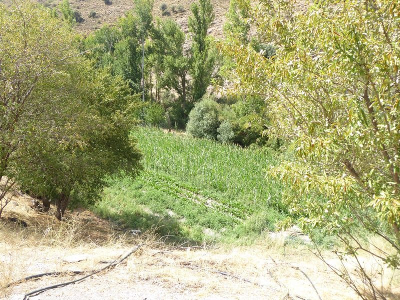 6 soveværelse Finca/Landehus til salg i Gor - € 144.000 (Ref: 7863219)