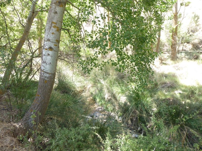 6 soveværelse Finca/Landehus til salg i Gor - € 144.000 (Ref: 7863219)