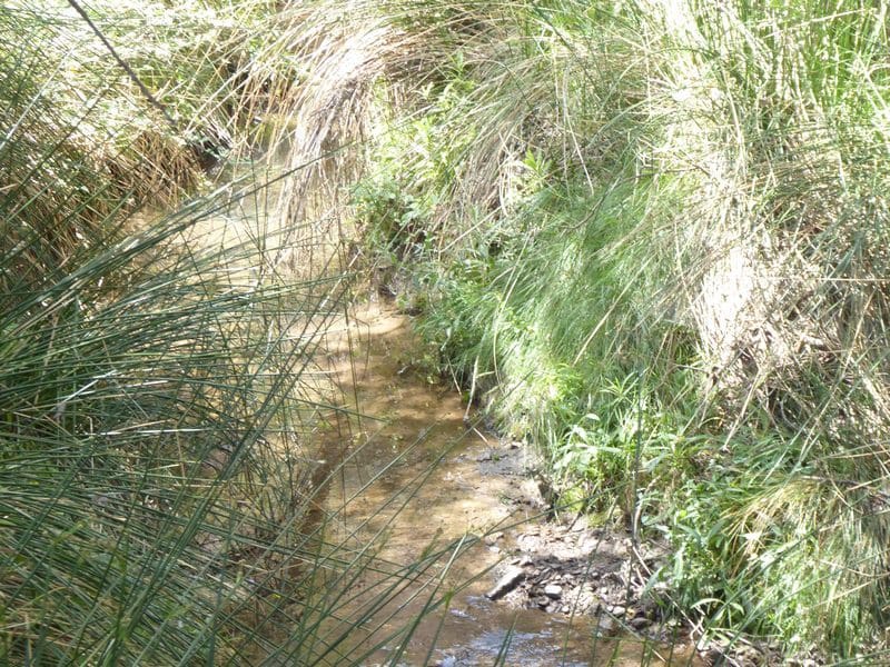 6 soveværelse Finca/Landehus til salg i Gor - € 144.000 (Ref: 7863219)