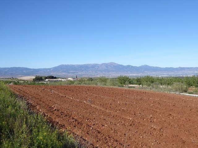 4 sovrum Finca/Hus på landet till salu i Jamula, Baza - 55 000 € (Ref: 7969662)