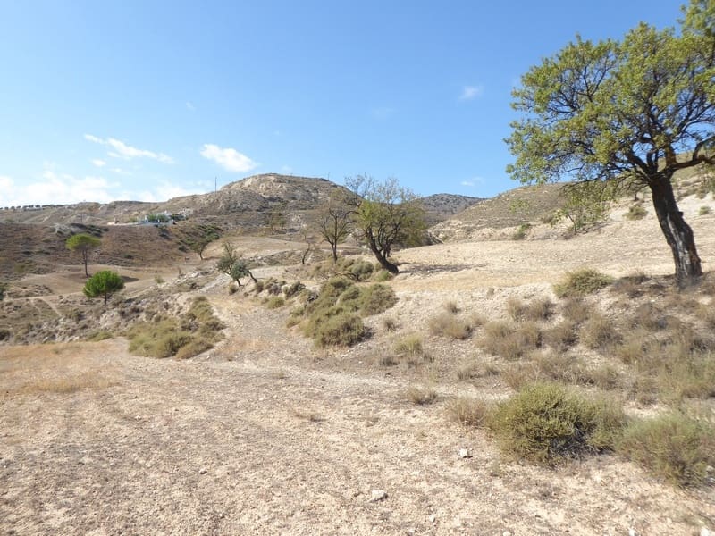 10 camera da letto Casa Grotta in vendita in Baza - 68.000 € (Rif: 7993861)