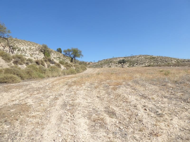 10 camera da letto Casa Grotta in vendita in Baza - 68.000 € (Rif: 7993861)