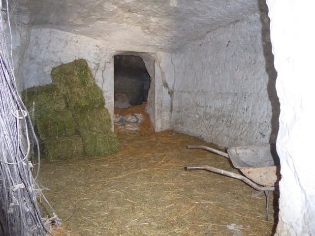 10 soveværelse Hulehus til salg i Baza - € 68.000 (Ref: 7993861)