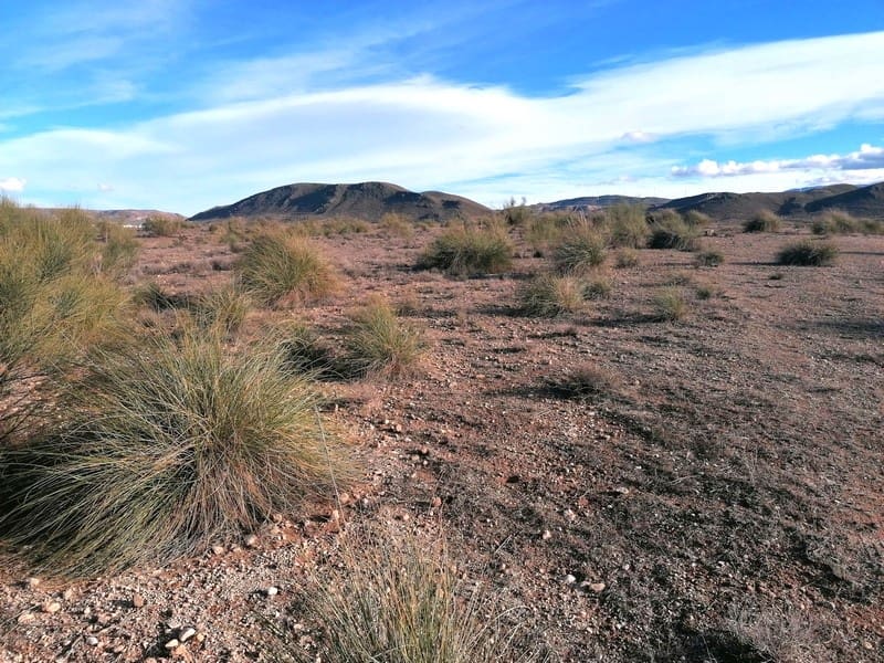 Finca/Landehus til salg i Freila - € 19.000 (Ref: 8097403)