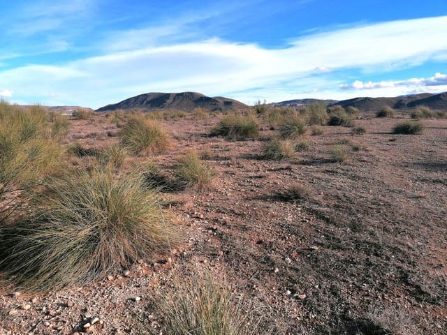 Finca/Maison de Campagne à vendre à Freila - 19 000 € (Ref: 8097403)