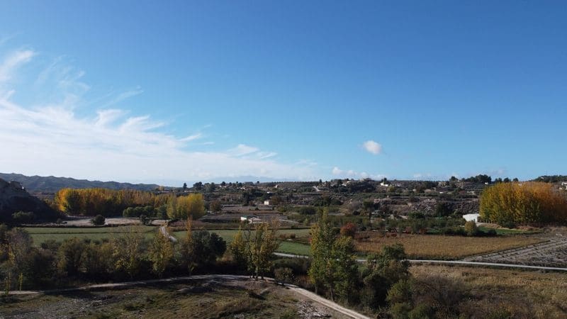 7 sypialnia Dom w skale na sprzedaż w Castillejar - 49 950 € (Ref: 8105322)