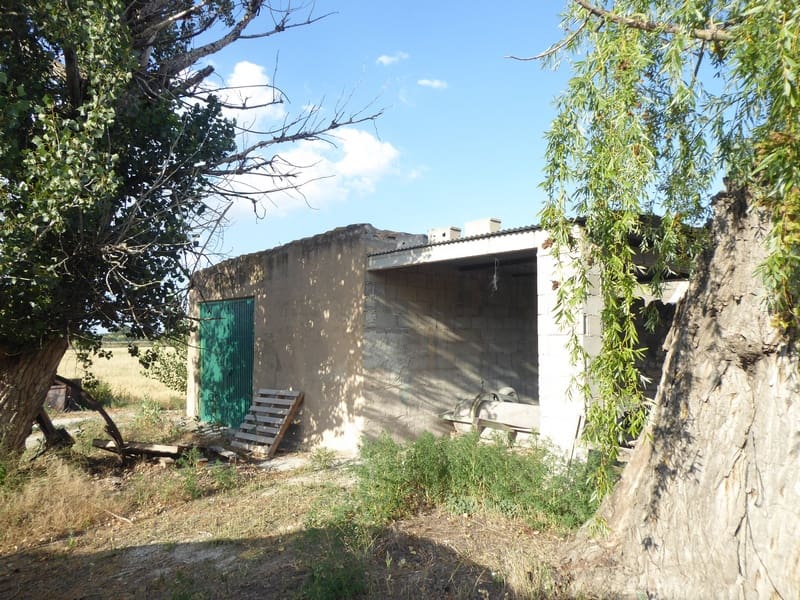 7 bedroom Finca/Country House for sale in Baza with pool - € 315,000 (Ref: 8165155)