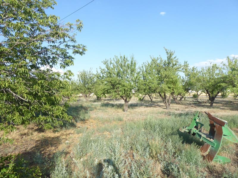 7 bedroom Finca/Country House for sale in Baza with pool - € 315,000 (Ref: 8165155)